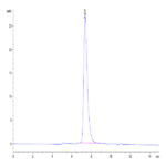 Human KIR2DL2 Protein BP005630 Syd Labs
