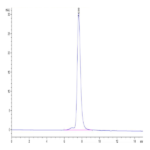 Human KIR2DL3 Protein BP005542 Syd Labs