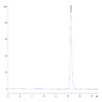 Human Kallikrein 3/PSA Protein BP003405 Syd Labs