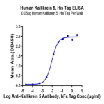 Human Kallikrein 5/KLK5 Protein BP004626 Syd Labs