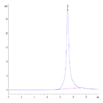 Mouse Kallikrein 5/KLK5 Protein BP004714 Syd Labs