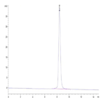 Mouse KLKB1 Protein BP004759 Syd Labs
