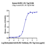 Human KLRG1 Protein BP004699 Syd Labs