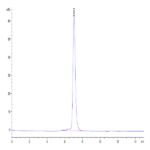 Mouse KLRG1 Protein BP004673 Syd Labs