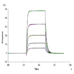Biotinylated Human KIR3DL3 Protein BP005616 Syd Labs