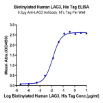 Biotinylated Human LAG3/CD223 Protein BP004999 Syd Labs
