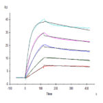 Human LAIR1/CD305 Protein BP005543 Syd Labs