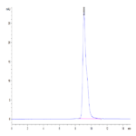 Mouse LAIR1/CD305 Protein BP004824 Syd Labs
