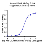 Human L1CAM Protein BP004370 Syd Labs
