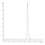 Human LAMP5 Protein BP003726 Syd Labs