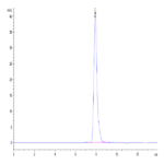 Human LAMP5 Protein BP004693 Syd Labs