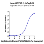 Human LAP (TGF beta 1) Protein BP003555 Syd Labs