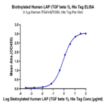 Biotinylated Human LAP (TGF beta 1) Protein BP005217 Syd Labs