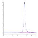 Biotinylated Human LILRB4/CD85k/ILT3 SR&Domain 2 Protein BP003767 Syd Labs