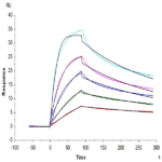 Biotinylated Human LDLR Protein BP005371 Syd Labs