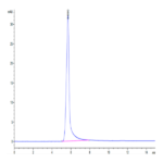 Mouse Leptin Protein BP004155 Syd Labs