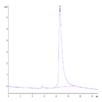 Mouse LGMN Protein BP004743 Syd Labs