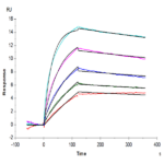 Human LGR-5 Protein BP003929 Syd Labs