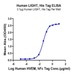 Human LIGHT/TNFSF14 Protein BP005356 Syd Labs