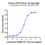 Human LIGHT/TNFSF14 Trimer Protein BP005350 Syd Labs
