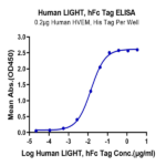 Human LIGHT/TNFSF14 Protein BP004316 Syd Labs