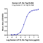 Human LIF Protein BP003567 Syd Labs