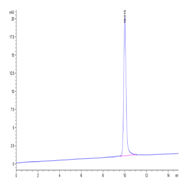 Human LIF Protein (LIF-HE001)