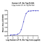Human LIF Protein BP005281 Syd Labs