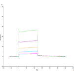 Human LILRB2/CD85d/ILT4 Domain1&2 Protein BP005206 Syd Labs