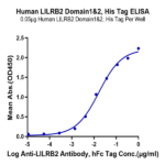 Human LILRB2/CD85d/ILT4 Domain1&2 Protein (LIL-HM12D)
