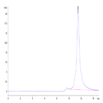 Human LILRB2/CD85d/ILT4 Domain1&2 Protein (LIL-HM12D)