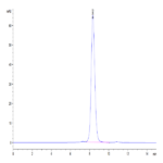 Human LILRA1/CD85i/LIR-6 Protein BP005492 Syd Labs