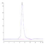 Biotinylated Human LILRA1/CD85i/LIR-6 Protein BP005252 Syd Labs