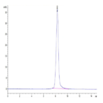 Biotinylated Human LILRA4/CD85g Protein BP004168 Syd Labs