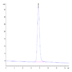 Human LILRA5/CD85f/ILT11 Protein BP005488 Syd Labs