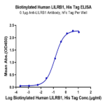 Biotinylated Human LILRB1/CD85j/ILT2 Protein BP004995 Syd Labs