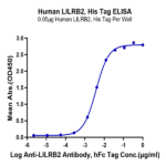Human LILRB2/CD85d/ILT4 Protein BP005482 Syd Labs
