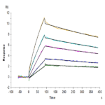 Human LILRB4/CD85k/ILT3 Protein BP005510 Syd Labs