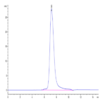 Human LILRB5/CD85c/LIR-8 Protein BP005493 Syd Labs