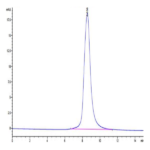 Biotinylated Human LILRB5/CD85c/LIR-8 Protein BP004045 Syd Labs
