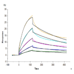 Mouse LILRB4/CD85k/ILT3 Protein BP004840 Syd Labs