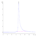 Mouse LOX1 Protein BP004549 Syd Labs