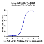 Human LYPD3 Protein BP004718 Syd Labs