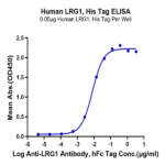 Human LRG1 Protein BP004937 Syd Labs