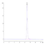 Mouse LRG1 Protein BP004936 Syd Labs