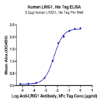 Human LRIG1 Protein BP004710 Syd Labs