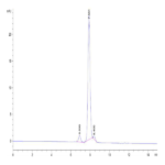 Mouse LRIG1 Protein BP004670 Syd Labs
