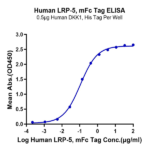 Human LRP-5 Protein BP004356 Syd Labs