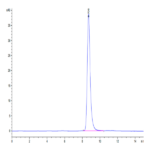 Mouse LRP10 Protein BP003770 Syd Labs