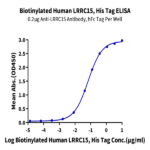 Biotinylated Human LRRC15/LIB Protein BP005183 Syd Labs